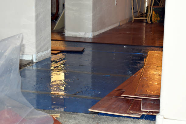 Professional Flood Cleanup technician working in Paris, MI