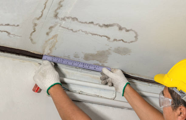 Reliable Flood Cleanup contractor in Paris, MI by Water Damage Irwin